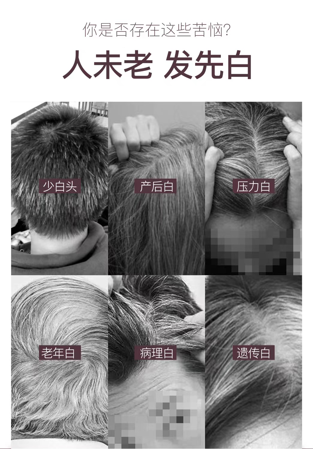 乌逸七黑2.jpg